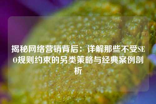 揭秘网络营销背后：详解那些不受SEO规则约束的另类策略与经典案例剖析