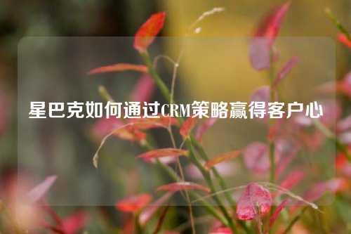 星巴克如何通过CRM策略赢得客户心