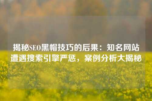 揭秘SEO黑帽技巧的后果：知名网站遭遇搜索引擎严惩，案例分析大揭秘