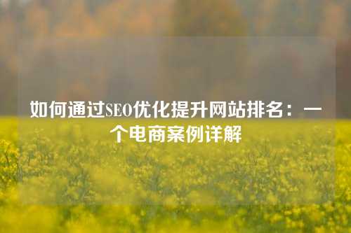 如何通过SEO优化提升网站排名：一个电商案例详解