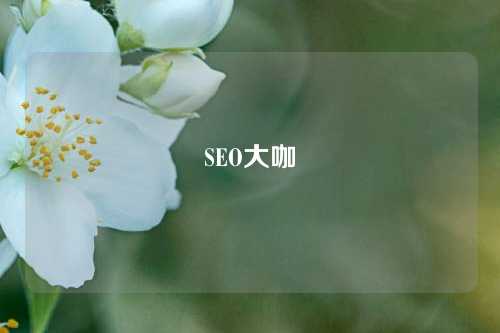 SEO大咖