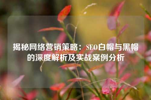 揭秘网络营销策略：SEO白帽与黑帽的深度解析及实战案例分析