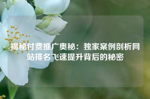 揭秘付费推广奥秘：独家案例剖析网站排名飞速提升背后的秘密