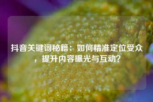 抖音关键词秘籍：如何精准定位受众，提升内容曝光与互动？