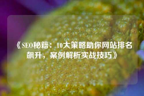 《SEO秘籍：10大策略助你网站排名飙升，案例解析实战技巧》