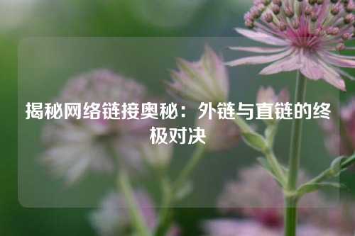 揭秘网络链接奥秘：外链与直链的终极对决