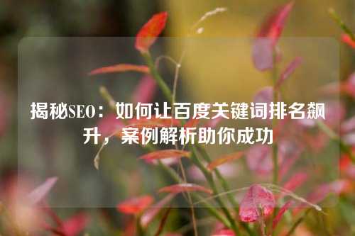 揭秘SEO：如何让百度关键词排名飙升，案例解析助你成功