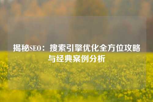 揭秘SEO：搜索引擎优化全方位攻略与经典案例分析