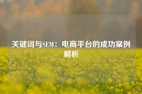 关键词与SEM：电商平台的成功案例解析