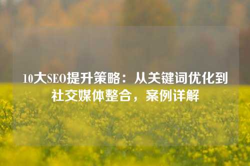 10大SEO提升策略：从关键词优化到社交媒体整合，案例详解