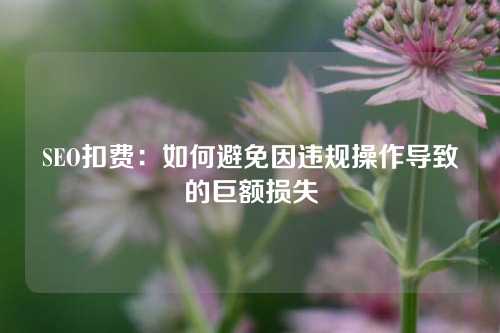 SEO扣费：如何避免因违规操作导致的巨额损失