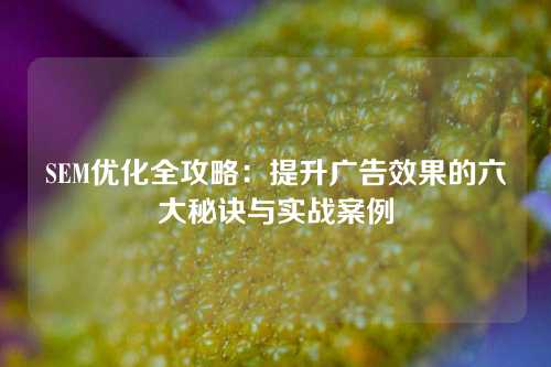 SEM优化全攻略：提升广告效果的六大秘诀与实战案例