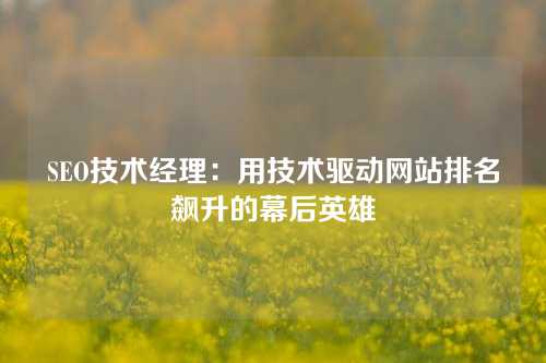 SEO技术经理：用技术驱动网站排名飙升的幕后英雄