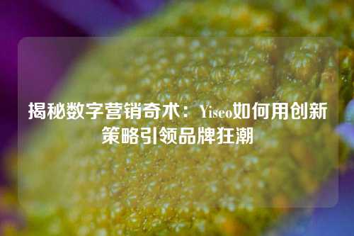 揭秘数字营销奇术：Yiseo如何用创新策略引领品牌狂潮