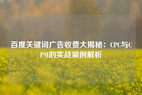 百度关键词广告收费大揭秘：CPC与CPM的实战案例解析