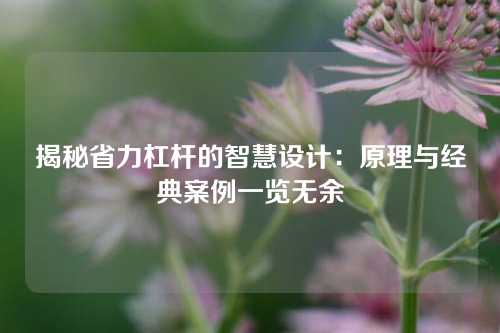 揭秘省力杠杆的智慧设计：原理与经典案例一览无余