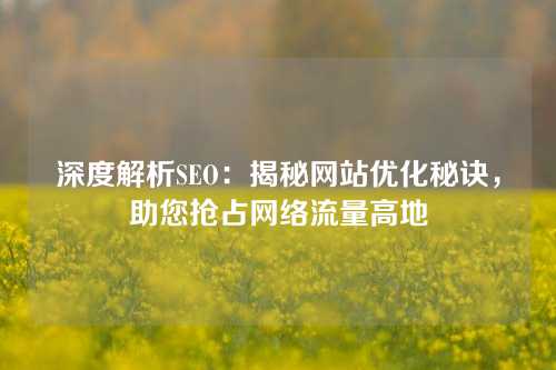 深度解析SEO：揭秘网站优化秘诀，助您抢占网络流量高地