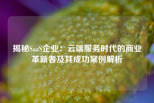 揭秘SaaS企业：云端服务时代的商业革新者及其成功案例解析