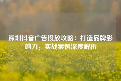 深圳抖音广告投放攻略：打造品牌影响力，实战案例深度解析