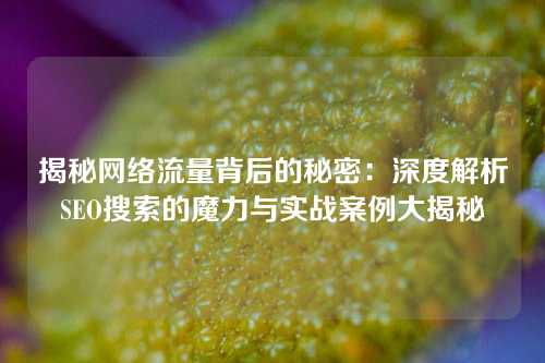 揭秘网络流量背后的秘密：深度解析SEO搜索的魔力与实战案例大揭秘