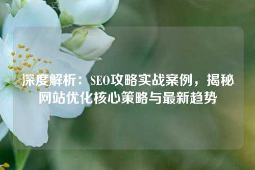 深度解析：SEO攻略实战案例，揭秘网站优化核心策略与最新趋势