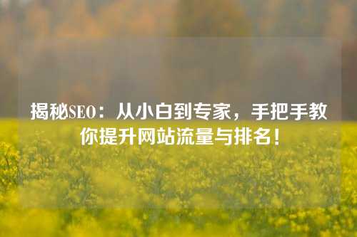 揭秘SEO：从小白到专家，手把手教你提升网站流量与排名！