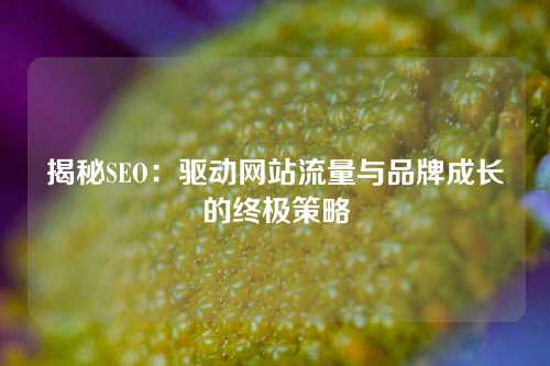 揭秘SEO：驱动网站流量与品牌成长的终极策略