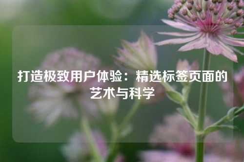 打造极致用户体验：精选标签页面的艺术与科学