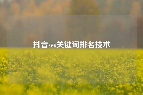 抖音seo关键词排名技术