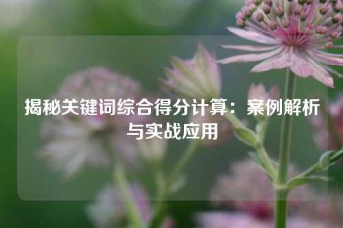 揭秘关键词综合得分计算：案例解析与实战应用