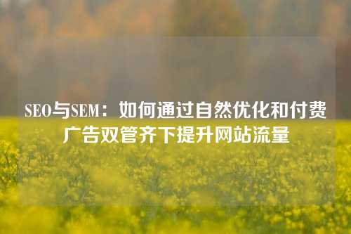 SEO与SEM：如何通过自然优化和付费广告双管齐下提升网站流量