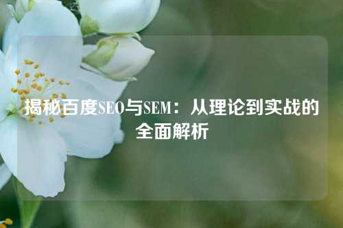 揭秘百度SEO与SEM：从理论到实战的全面解析