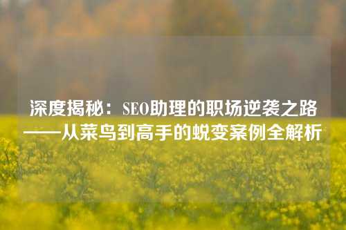 深度揭秘：SEO助理的职场逆袭之路——从菜鸟到高手的蜕变案例全解析