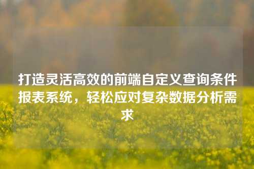 打造灵活高效的前端自定义查询条件报表系统，轻松应对复杂数据分析需求