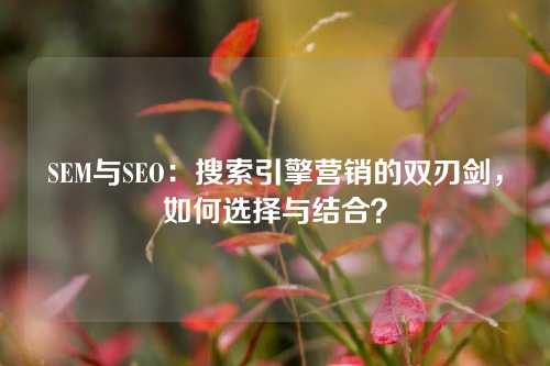 SEM与SEO：搜索引擎营销的双刃剑，如何选择与结合？