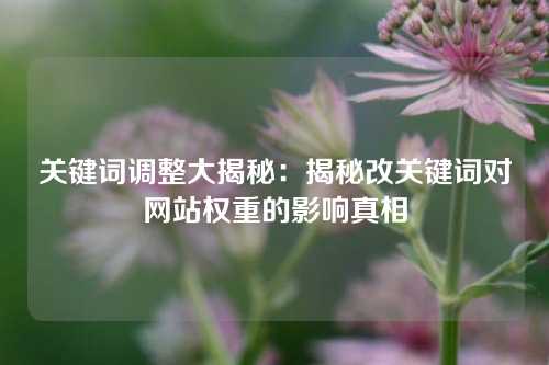 关键词调整大揭秘：揭秘改关键词对网站权重的影响真相