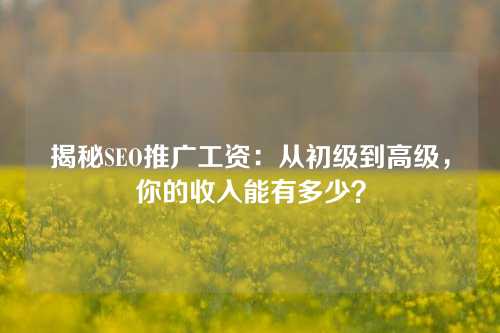 揭秘SEO推广工资：从初级到高级，你的收入能有多少？