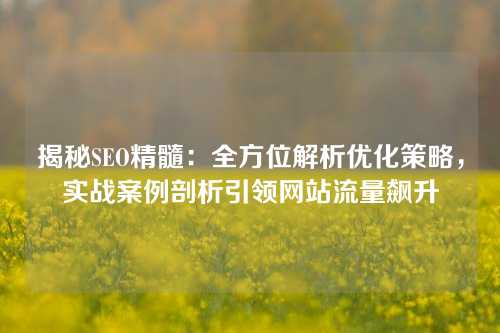 揭秘SEO精髓：全方位解析优化策略，实战案例剖析引领网站流量飙升