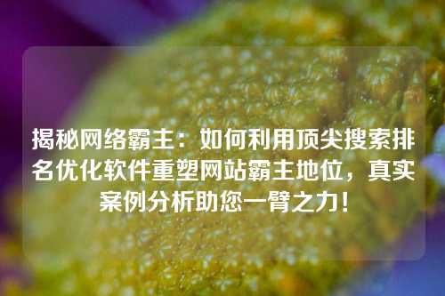 揭秘网络霸主：如何利用顶尖搜索排名优化软件重塑网站霸主地位，真实案例分析助您一臂之力！