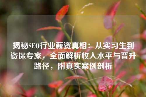 揭秘SEO行业薪资真相：从实习生到资深专家，全面解析收入水平与晋升路径，附真实案例剖析