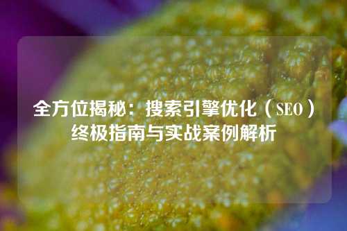 全方位揭秘：搜索引擎优化（SEO）终极指南与实战案例解析