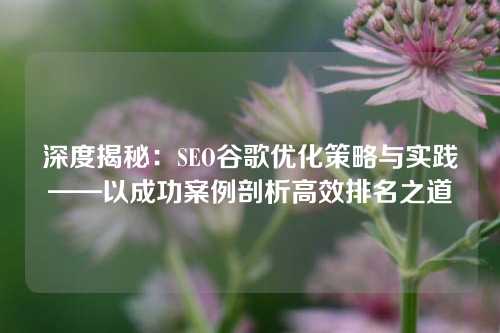 深度揭秘：SEO谷歌优化策略与实践——以成功案例剖析高效排名之道