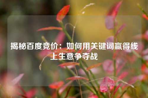 揭秘百度竞价：如何用关键词赢得线上生意争夺战