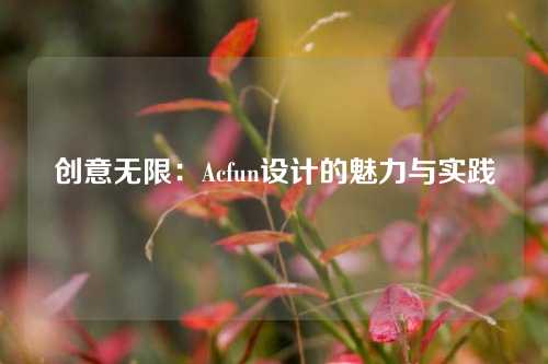 创意无限：Acfun设计的魅力与实践