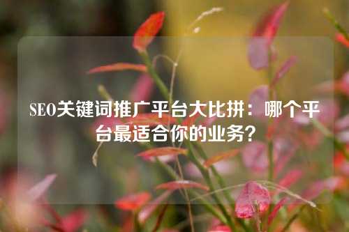 SEO关键词推广平台大比拼：哪个平台最适合你的业务？