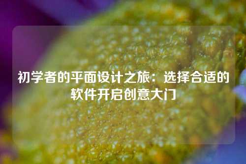 初学者的平面设计之旅：选择合适的软件开启创意大门