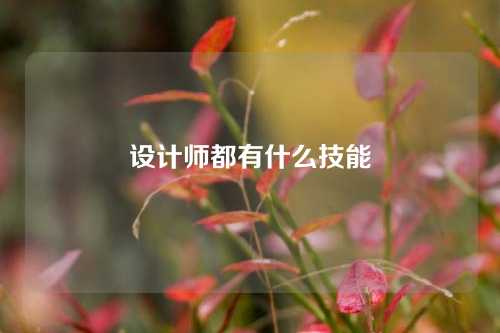 设计师都有什么技能