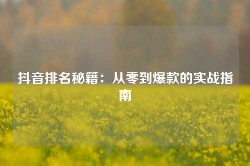 抖音排名秘籍：从零到爆款的实战指南