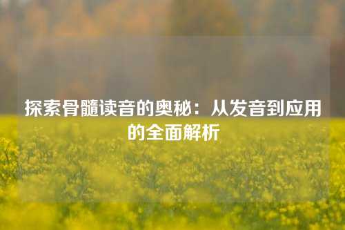 探索骨髓读音的奥秘：从发音到应用的全面解析