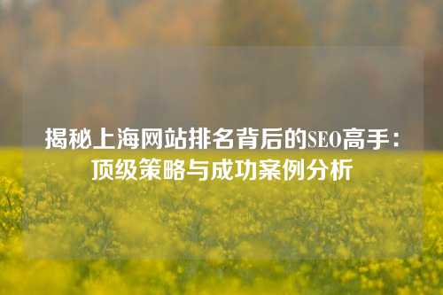 揭秘上海网站排名背后的SEO高手：顶级策略与成功案例分析